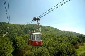 bursa bursa